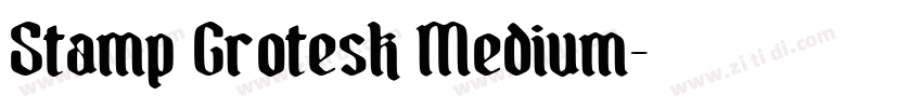 Stamp Grotesk Medium字体转换